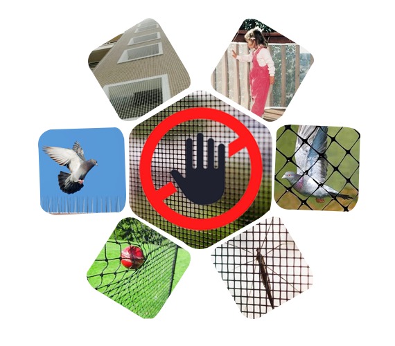 Raj Enterprises