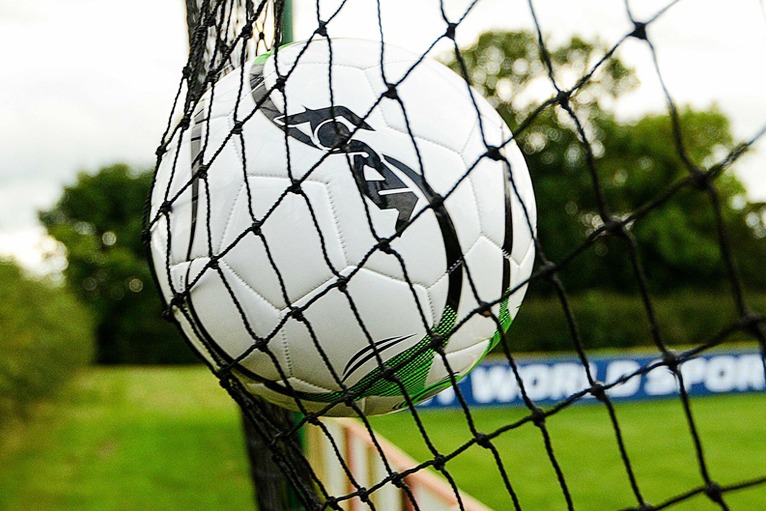 sports-ball-stop-nets